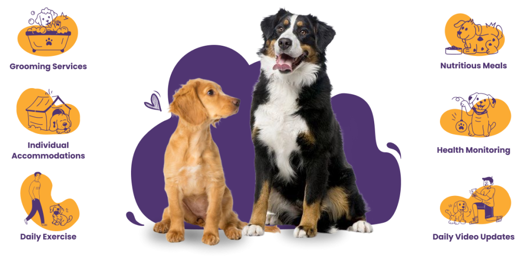 dog care near me