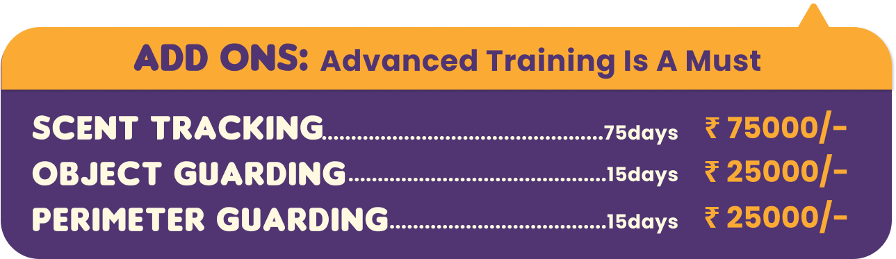 Pet boarding services Price