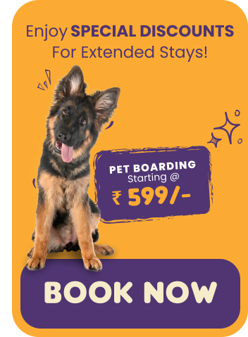 Best dog daycare center in Varthur