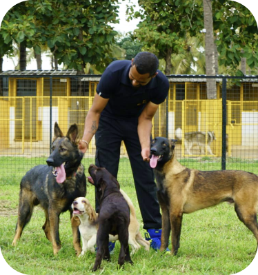 Best Dog boarding in Bangalore