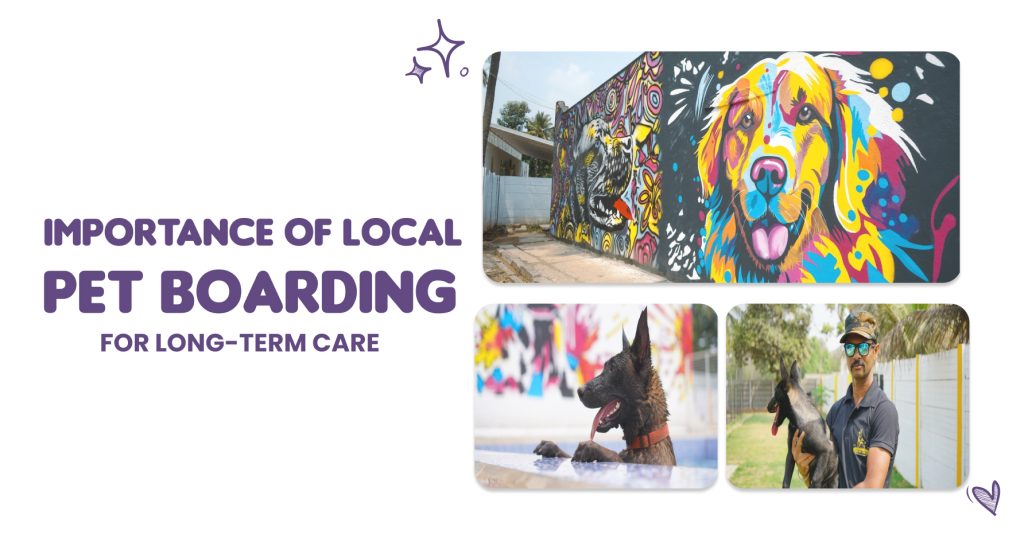 Best Dog boarding in Bangalore