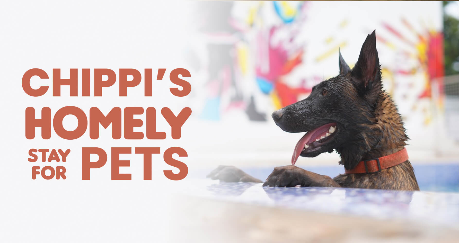 Best Pet Boarding in Whitefield Bangalore