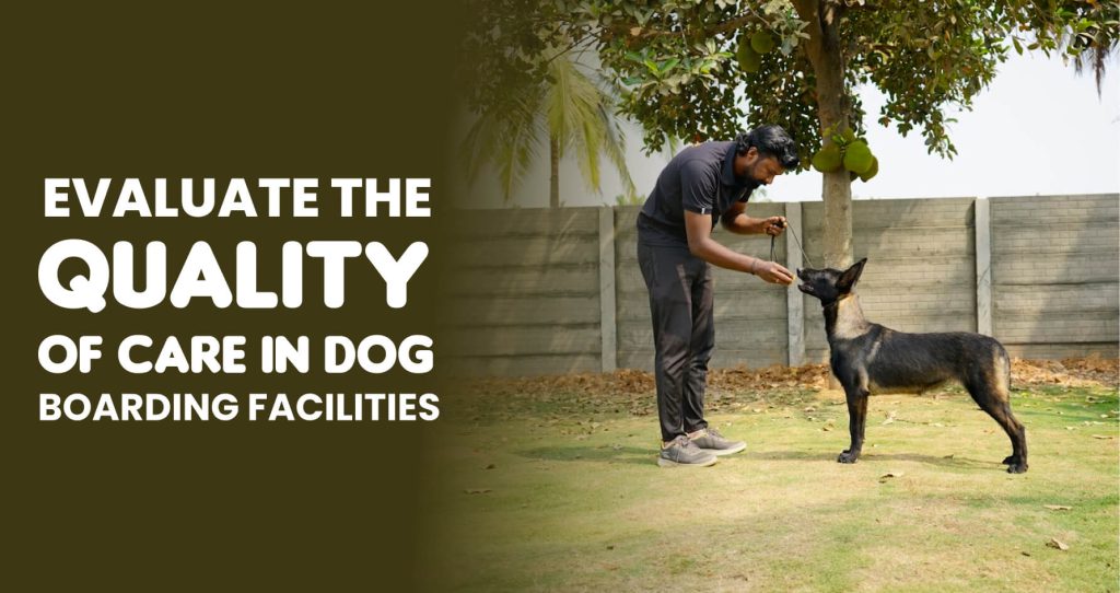 pet boarding in varthur, whitefield