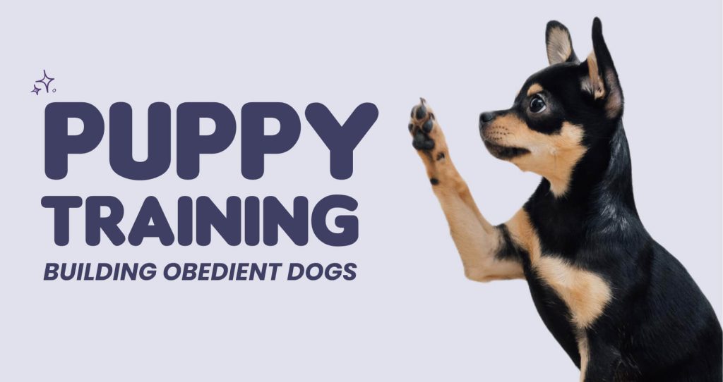 Puppy Training in Bangalore