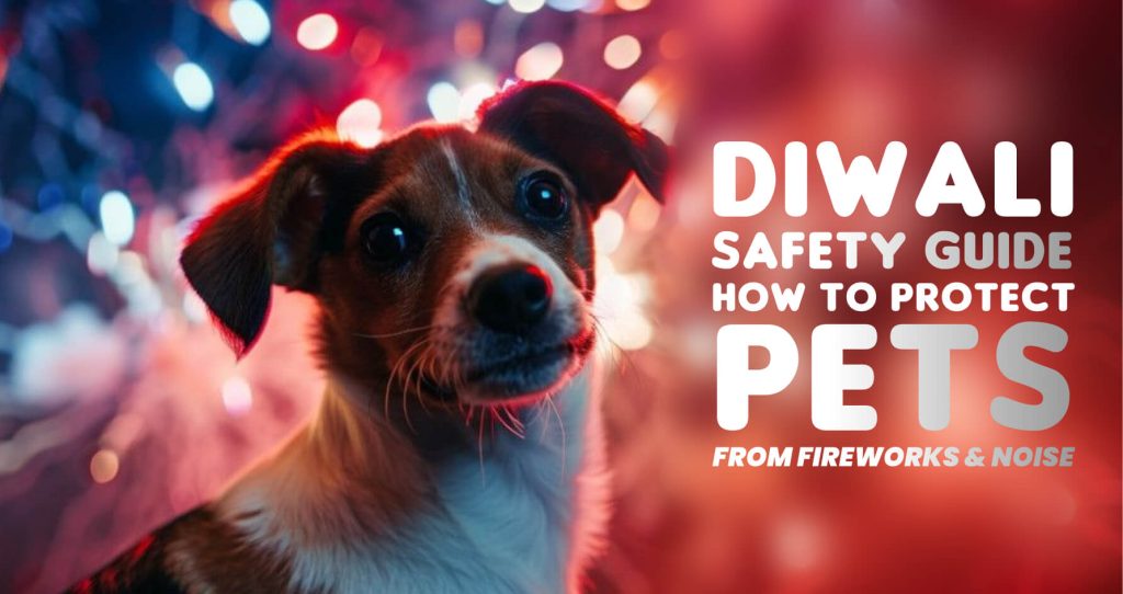 diwali safety guide for pets