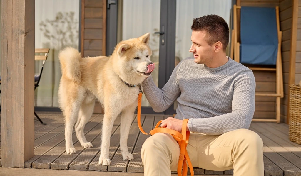 dog-boarding-in-whitfield-bangalore