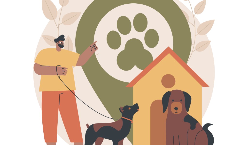 best-dog-boarding-service-in-whitefield